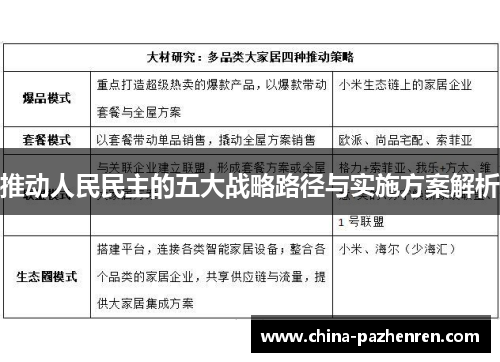 推动人民民主的五大战略路径与实施方案解析 推动人民民主的五大战略路径与实施方案解析