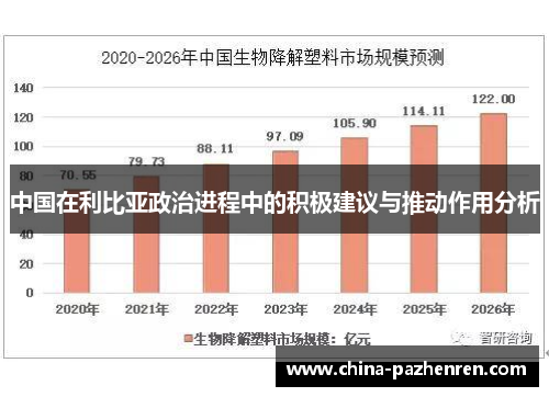 中国在利比亚政治进程中的积极建议与推动作用分析