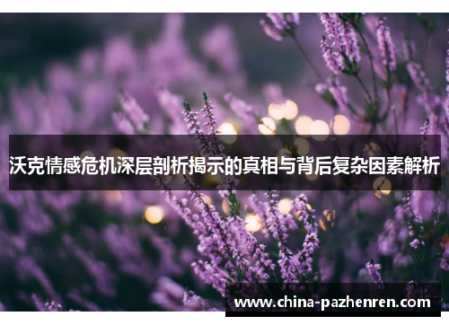 沃克情感危机深层剖析揭示的真相与背后复杂因素解析