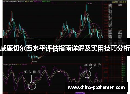 威廉切尔西水平评估指南详解及实用技巧分析 威廉切尔西水平评估指南详解及实用技巧分析