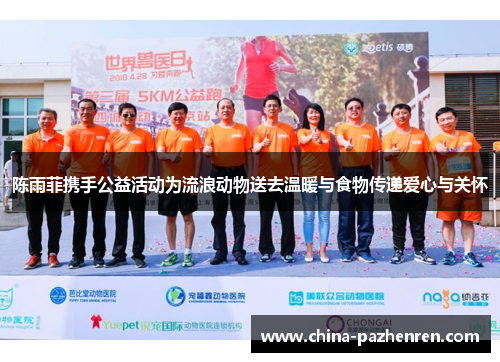 陈雨菲携手公益活动为流浪动物送去温暖与食物传递爱心与关怀